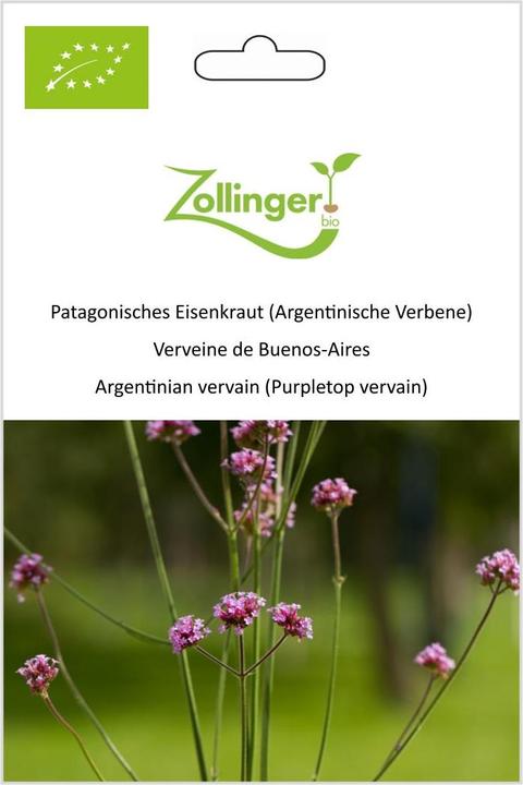Actual product image Zollinger Bio Patagonian verbena (Argentine verbena) (Plant seeds)