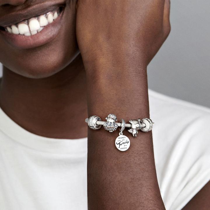 Actual product image Pandora Friends are Family (Silver 925, Enamel)