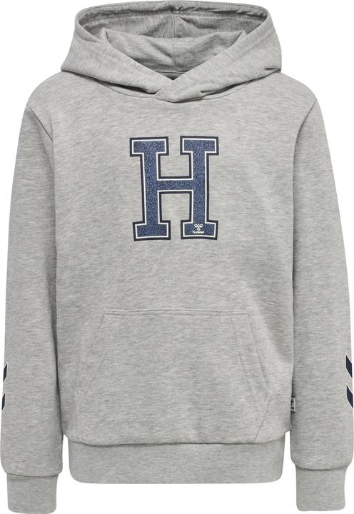 hummel Geography Hoodie