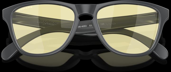 Actual product image Oakley Frogskins XS