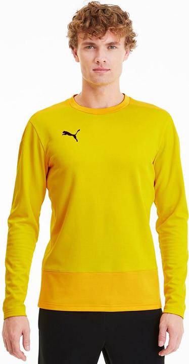 Actual product image Puma teamGOAL 23 Training Sweat-656478 (50 E)