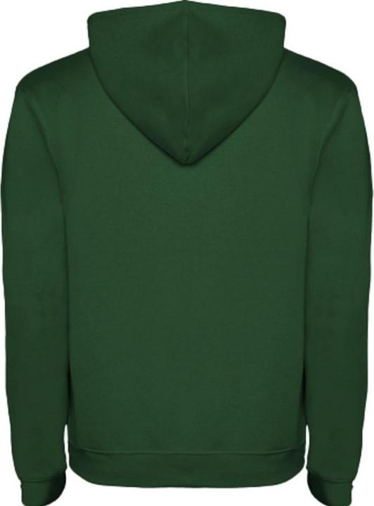 Image du produit Alpinia - Sweat à capuche URBAN - Homme (M)
