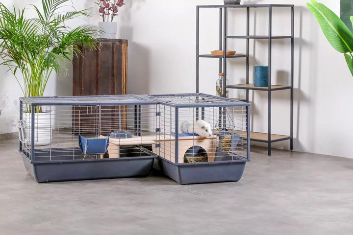 Actual product image Zolux Klatka NEOLIFE CONNECT Królik kawii 100cm sza