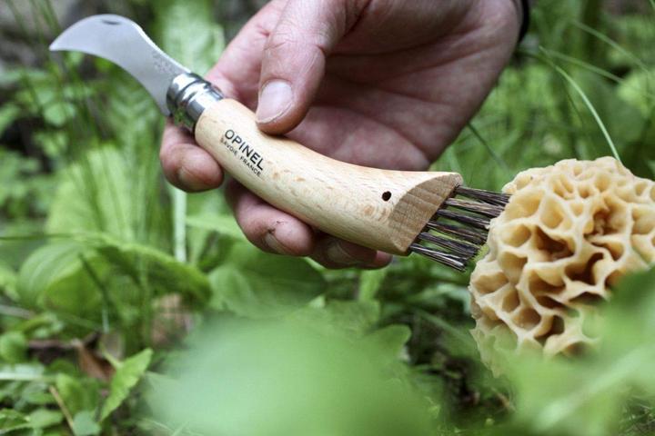 Produktbild Opinel Pilzmesser (8 cm)