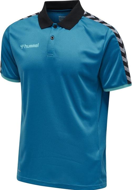 Image du produit hummel Authentic Functional Polo (S)