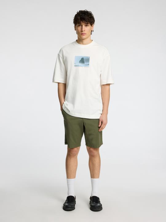 Produktbild Selected Homme Print T-Shirt mit Rundhalsausschnitt (S)