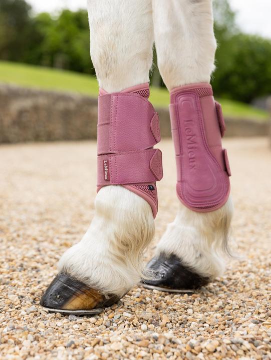 Actual product image LeMieux Arika (M)