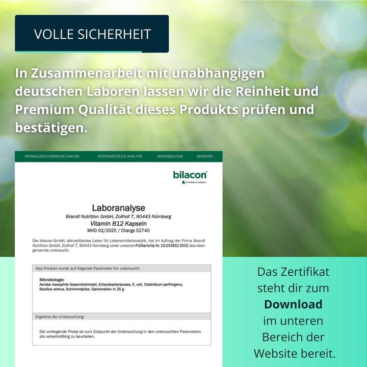 Produktbild Brandl-Nutrition Vitamin B12 Vegan (1 Stück, Kapseln, 45 g)