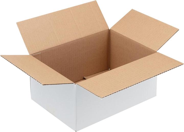Actual product image Brieger Shipping box (15.5 x 22 x 12 cm, 1 x)