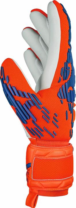 Image du produit Reusch Attrakt Freegel Silver (9)