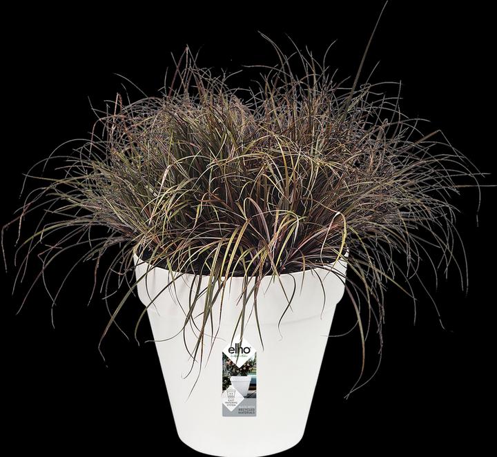 Immagine prodotto Elho Loft Urban (58 cm)
