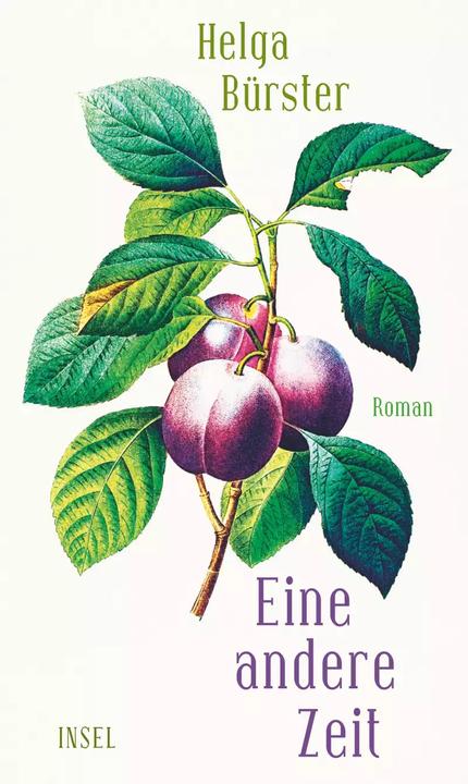 Image du produit Eine andere Zeit (Allemand, Helga Bürster, 2022)