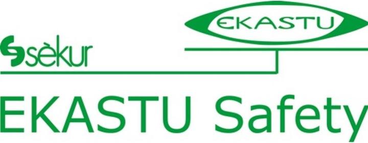 Immagine prodotto Ekastu Sekur Filtro combinato multirange 230 A2B2E2K1-P3R D f.2 pz./pc.EKASTU (Filtro di ricambio per respiratore)
