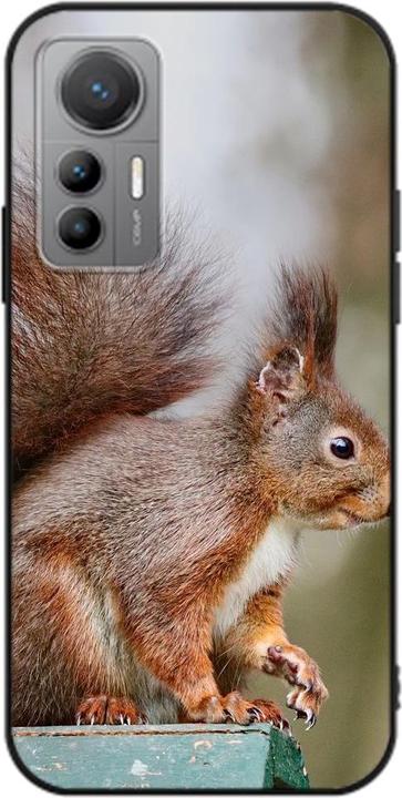 Eichhörnchen