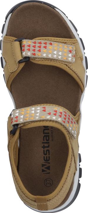 Actual product image Westland 25801-TE508 (40)