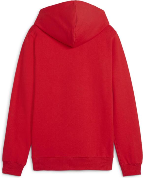 Actual product image Puma teamGOAL Casuals Hoody Jr (164)