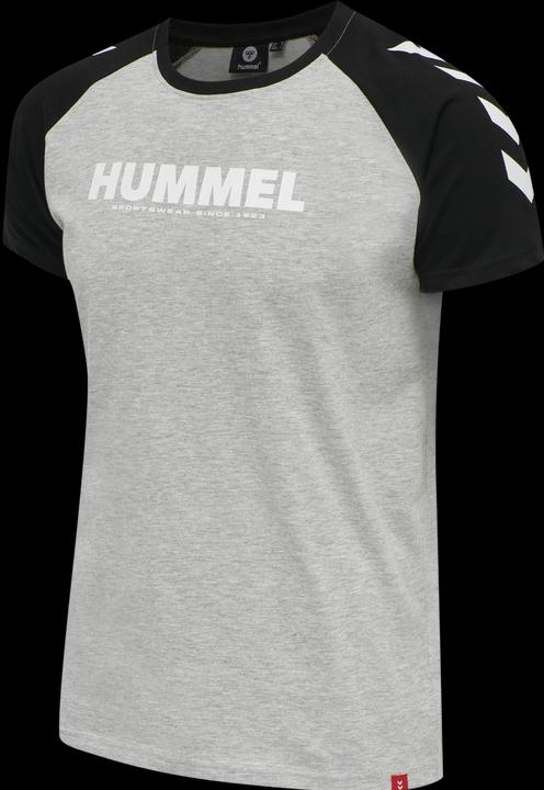 Image du produit hummel Legacy Blocked T-Shirt (S)