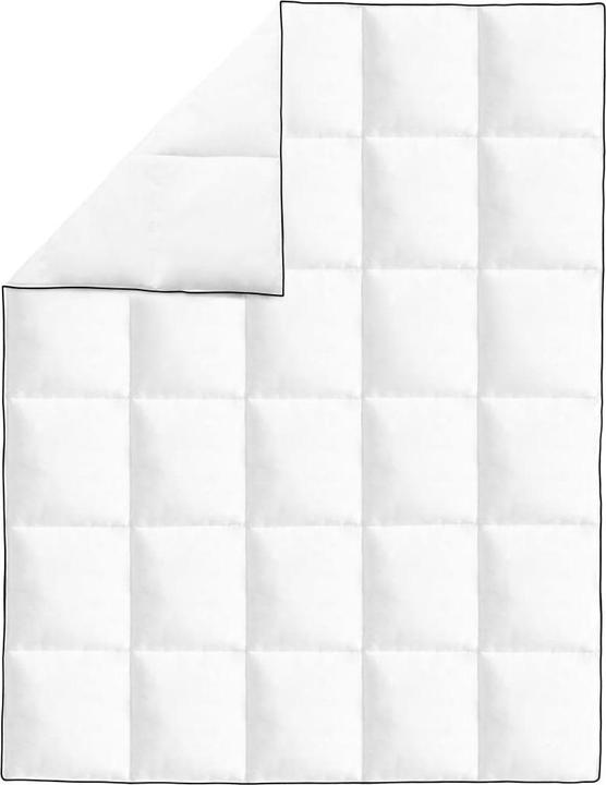 Actual product image VidaXL Hermogenes (1700 g, 150 x 200 cm)