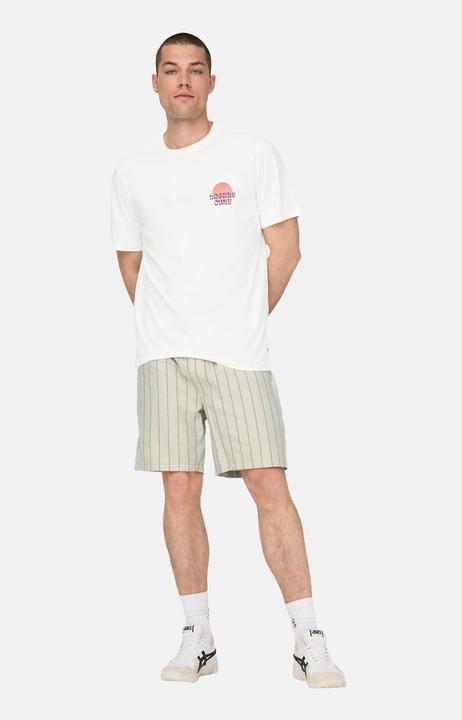 Immagine prodotto Only & Sons Onskye Reg Photo Ss Tee (L)