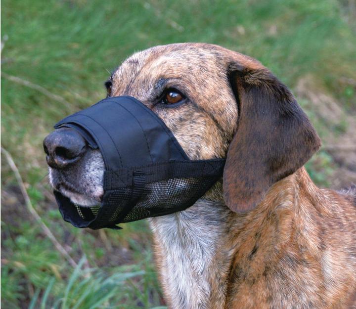 Produktbild Trixie Maulkorb (S, Hund, Spazieren)
