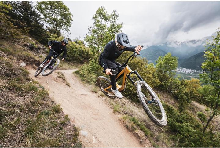 Image du produit ALPINA SPORTS Pikes Mips (56 - 59 cm)