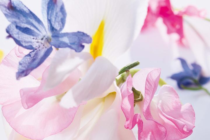 Produktbild Dior Miss (Eau de Parfum, 50 ml)