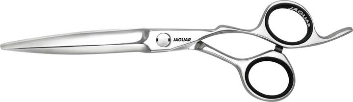 Jaguar Heron (15.24 cm)