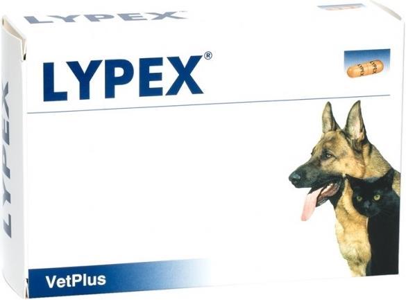 Actual product image Vet Plus Lypex (Adult)