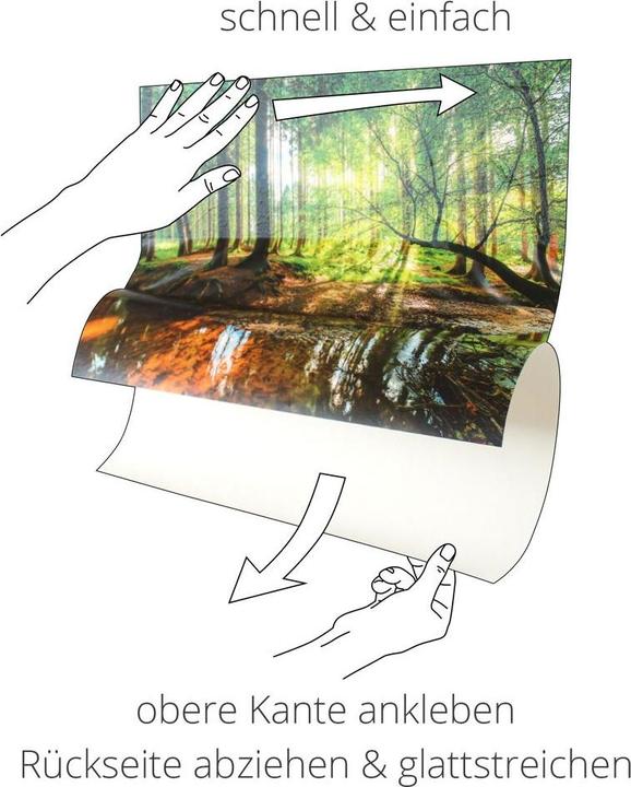 Immagine prodotto Artland Ortensia bianca da giardino B2XF (80 x 60 cm)