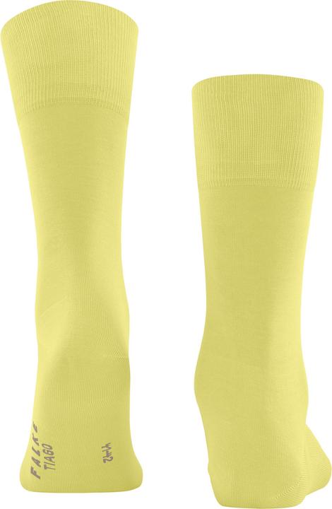 Actual product image Falke Tiago Men (41 - 42)