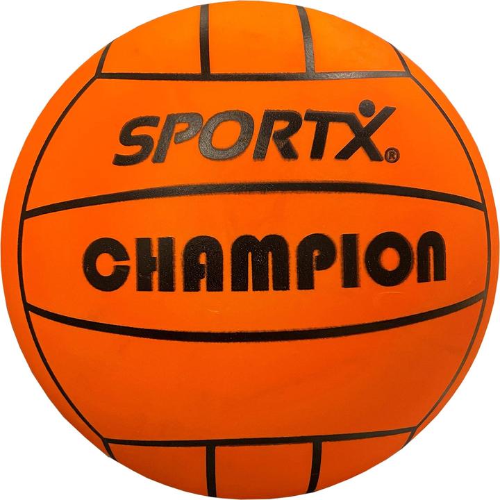 Sport X Champion