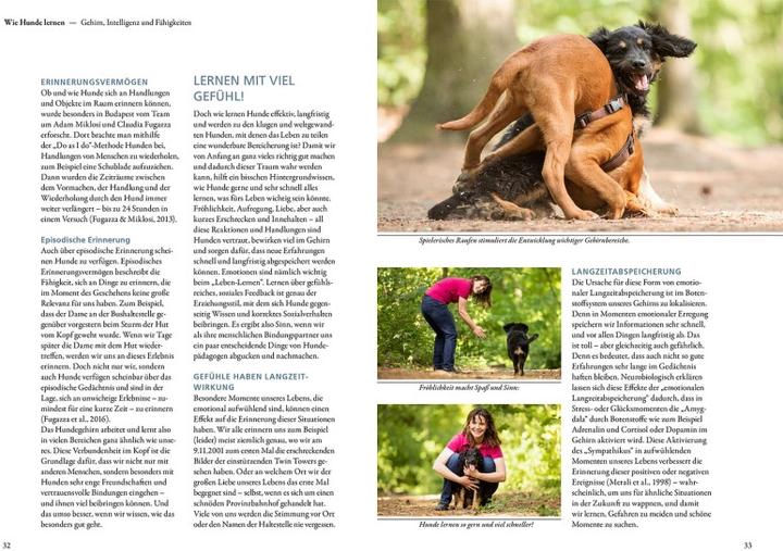 Produktbild Kosmos Die 10 Kompetenzen für Hunde (Deutsch, Kate Kitchenham, 2023)