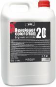 Image du produit Postquam révélateur de crème 20, 5 litres.