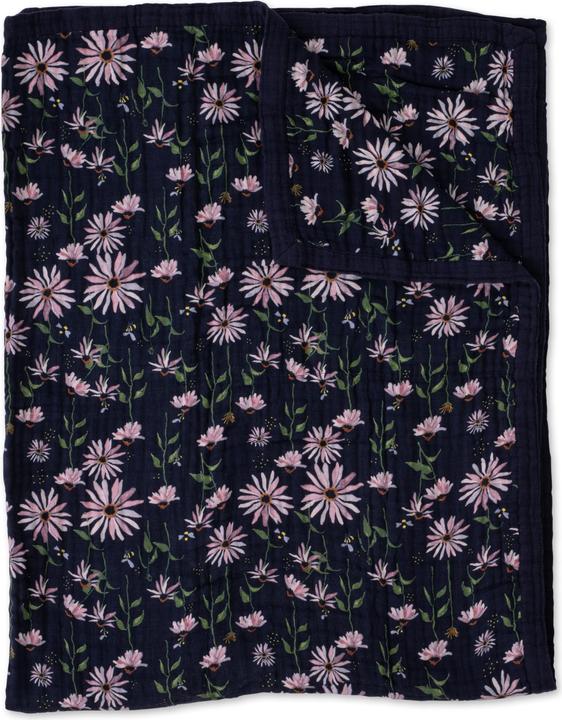 Coneflower scuro