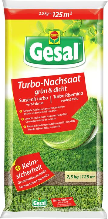 Gesal Turbo-Nachsaat grün & dicht (Rasensamen)