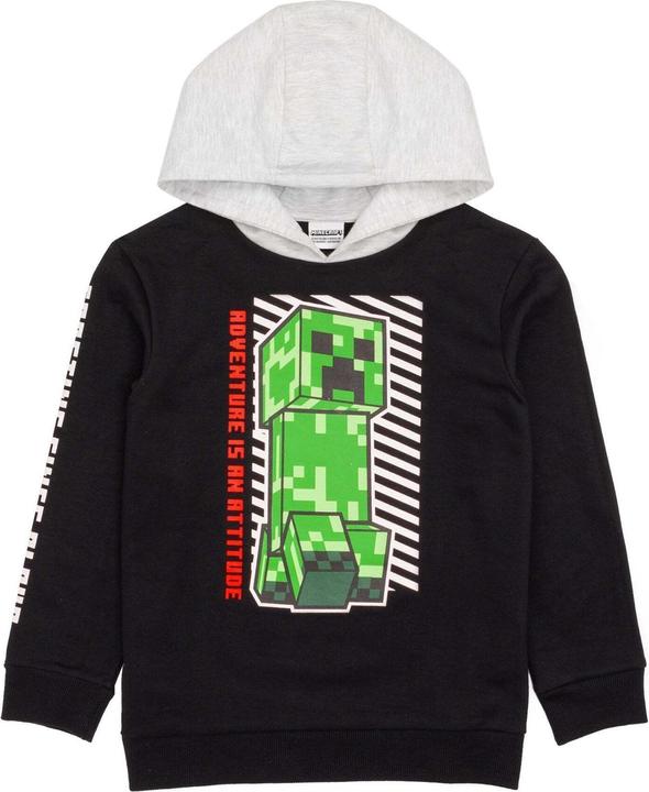 Actual product image Minecraft Boys hoodie (128)