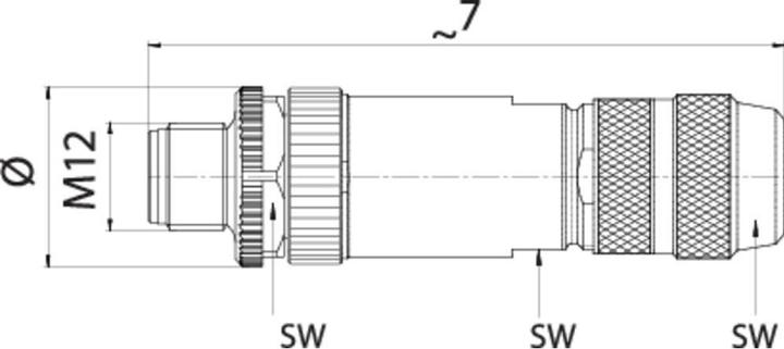 Actual product image Schubiger Binder 99 1631 814 04 Miniature circular connector Plug, straight Total number of poles: