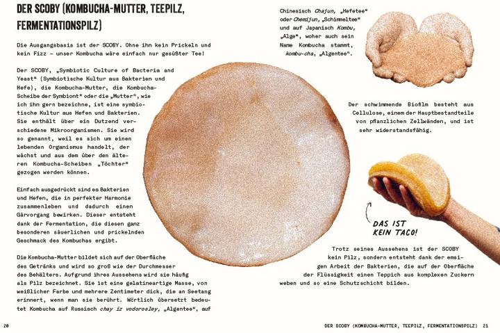 Produktbild Kombucha do it yourself (Deutsch, Julie Ponge, 2023)