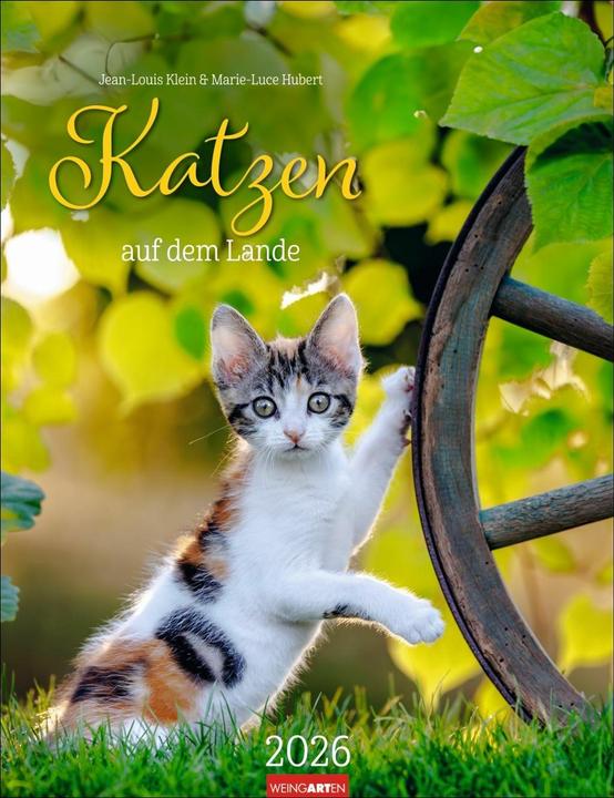 Produktbild Katzen auf dem Lande Kalender 2026 (30 x 39 cm, Deutsch)