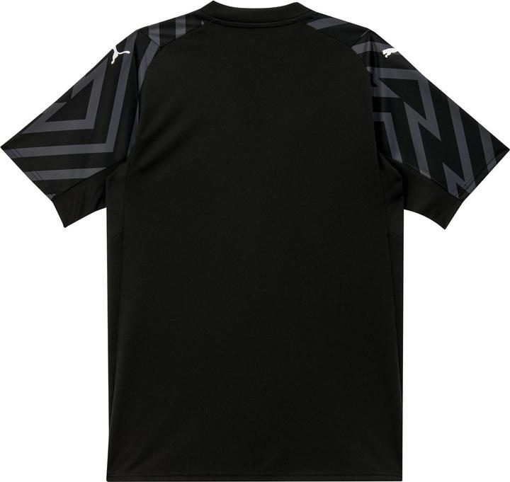 Actual product image Puma SFV GK Jersey SS Replica (M)