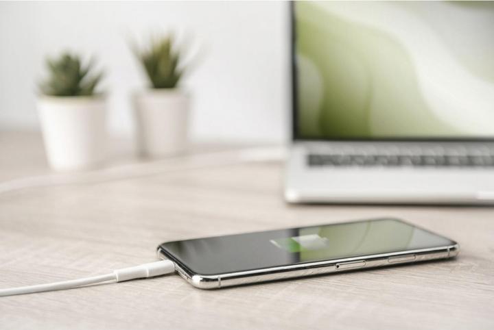 Immagine prodotto Digitus Cavo dati/di ricarica, Lightning-USB-C™, MFI, 1m (1 m, USB 2.0)