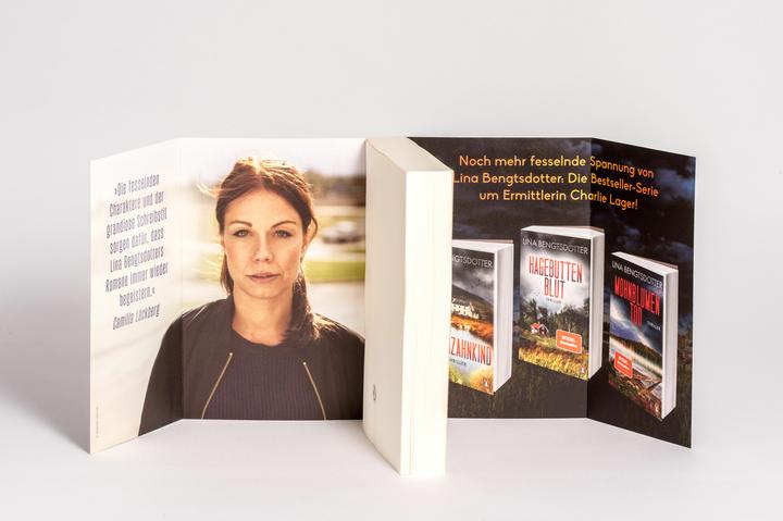 Image du produit Flammenschwestern (Allemand, Lina Bengtsdotter, 2024)