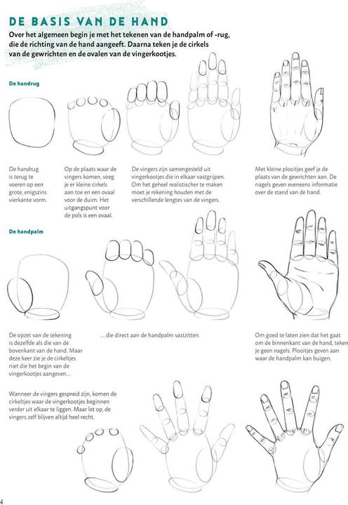 Valeurs nutritives et ingrédients Apprenez à dessiner des mains et des pieds étape par étape. Livre de loisirs