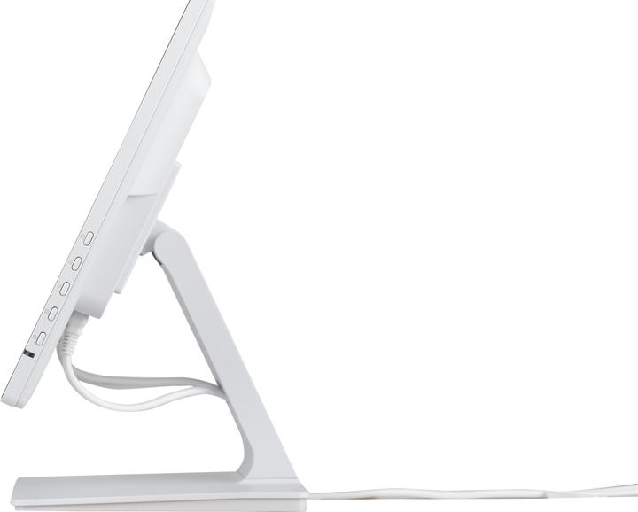 Immagine prodotto iiyama ProLite T2452MSC-W1 (1920 x 1080 pixel, 23.80")