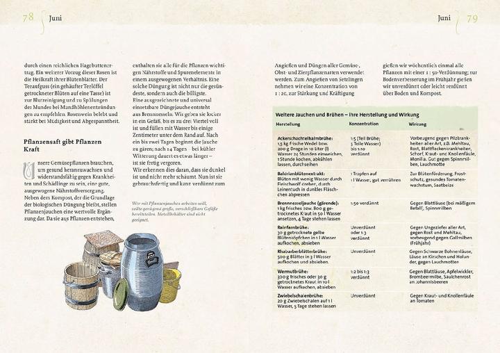 Image du produit Kosmos Geheimnisse aus dem Klostergarten (Allemand, Christa Weinrich, OSB, 2024)