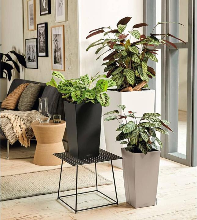 Image du produit Lechuza cubico (39.50 cm)