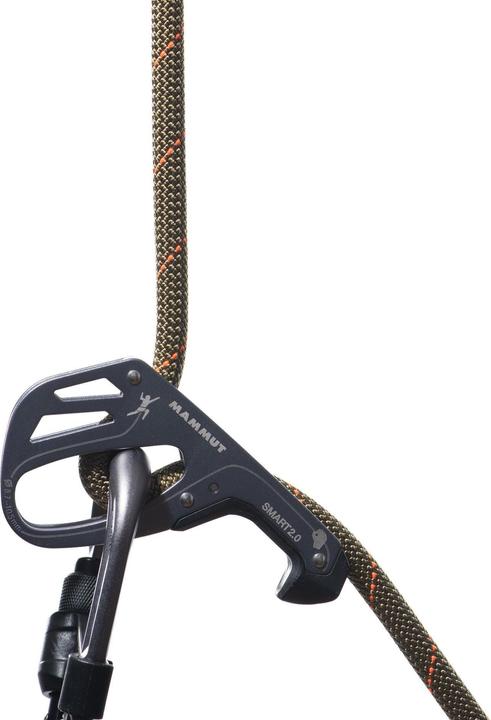 Immagine prodotto Mammut 9.9 Corda da palestra Workhorse Dry Rope (40 m)