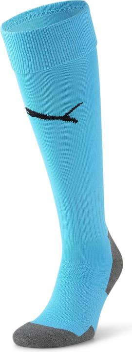 Actual product image Puma Team LIGA Socks CORE-703441 (35, 38)