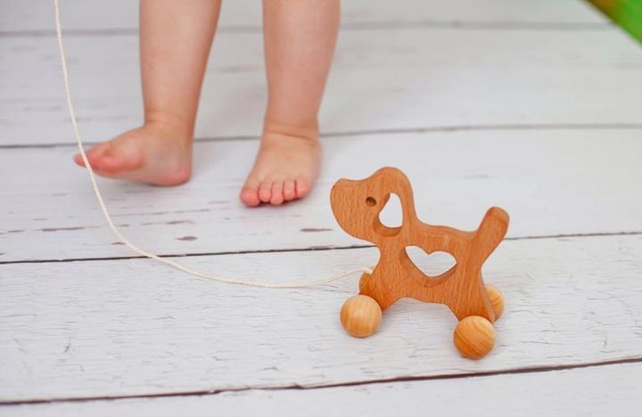 Immagine prodotto Activity Board Cane da traino