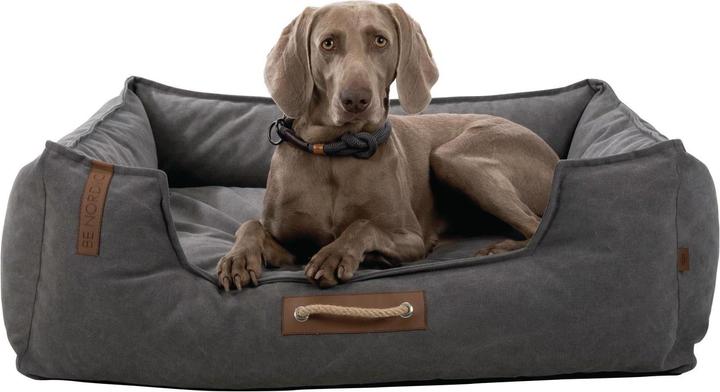 Actual product image Trixie Be Nordic Föhr (Dog)